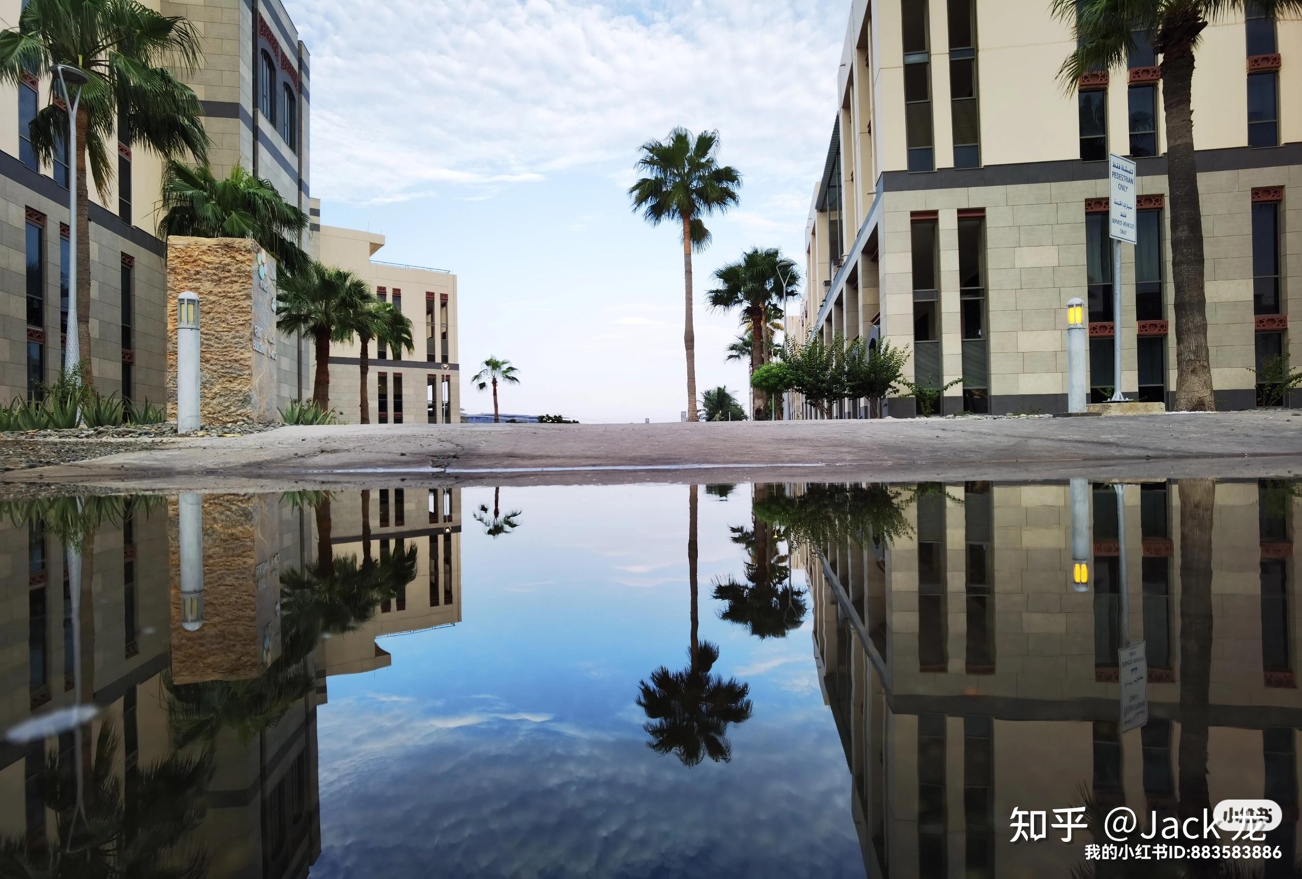 库托vs马加里托二番战 库托vs马加里托二番战